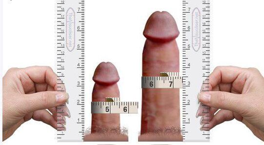 Penis measurement for and after augmentation at home