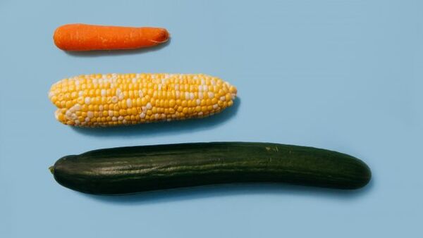 Different sizes of a male member using the example of vegetables